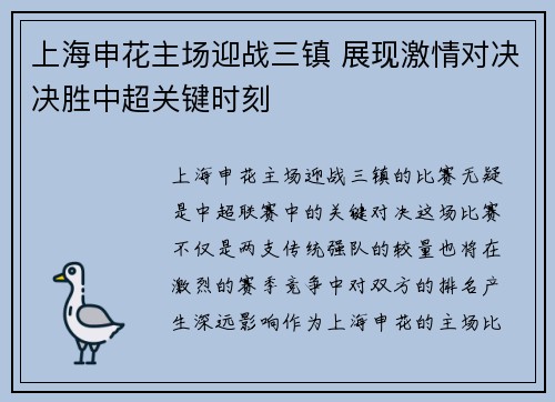 上海申花主场迎战三镇 展现激情对决决胜中超关键时刻