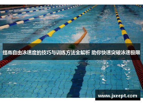 提高自由泳速度的技巧与训练方法全解析 助你快速突破泳速极限
