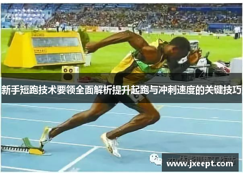 新手短跑技术要领全面解析提升起跑与冲刺速度的关键技巧