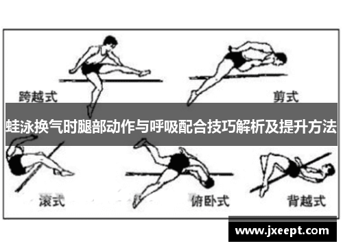 蛙泳换气时腿部动作与呼吸配合技巧解析及提升方法