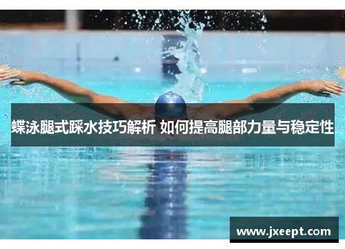 蝶泳腿式踩水技巧解析 如何提高腿部力量与稳定性