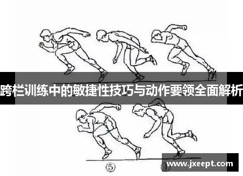 跨栏训练中的敏捷性技巧与动作要领全面解析